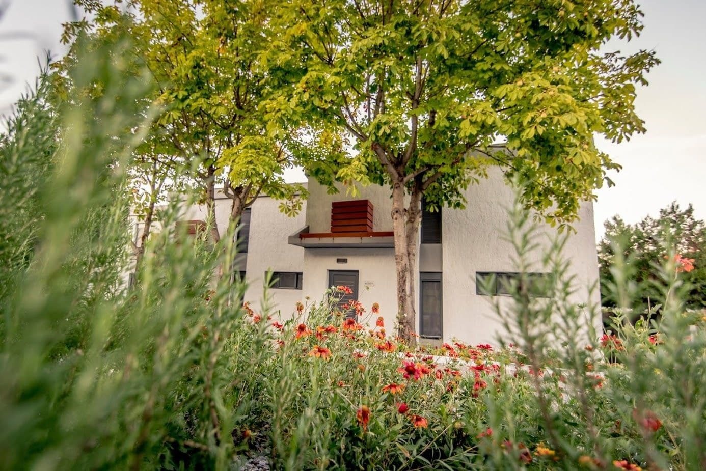 Pleiades Boutique Villas Kriopigi Exterior photo